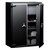 Chubbsafes_Trident_910.jpg